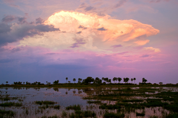 Sitatunga Private Island Camp: Sonnenuntergang