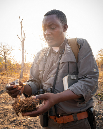 Time + Tide South Luangwa Time + Tide South Luangwa: Walking Safari