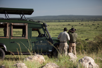 Elewana Tarangire Treetops: Game Drive