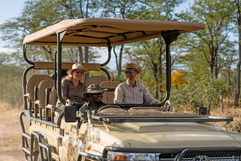 Ingwe Pan Camp: Game Drive