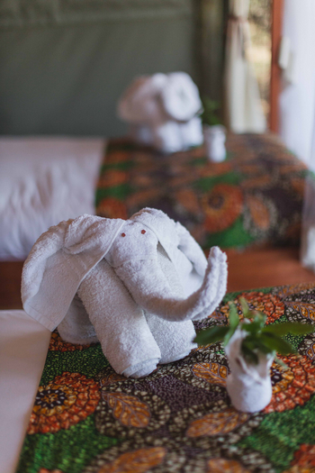 Musekese Camp Musekese Camp: Handtuchelefant