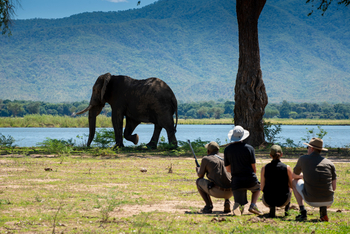 Nyamatusi Camp Nyamatusi Camp: Elefant vor Landschaft