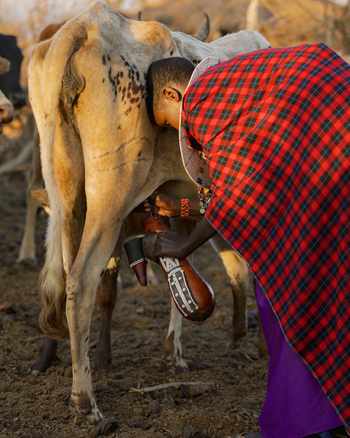 Olkeri Camp: Kuhmelken