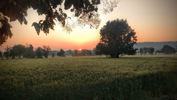The Sarai at Toria: Sonnenaufgang