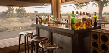 Deteema Springs Camp: Bar