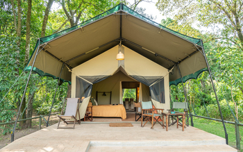 Governors' Camp: Classic Safari Tent