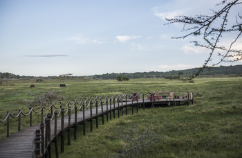 Hatari Lodge: Walkway zur Aussichtsplattform
