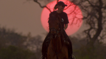 Kujwana Camp: Morgensonne verzaubert