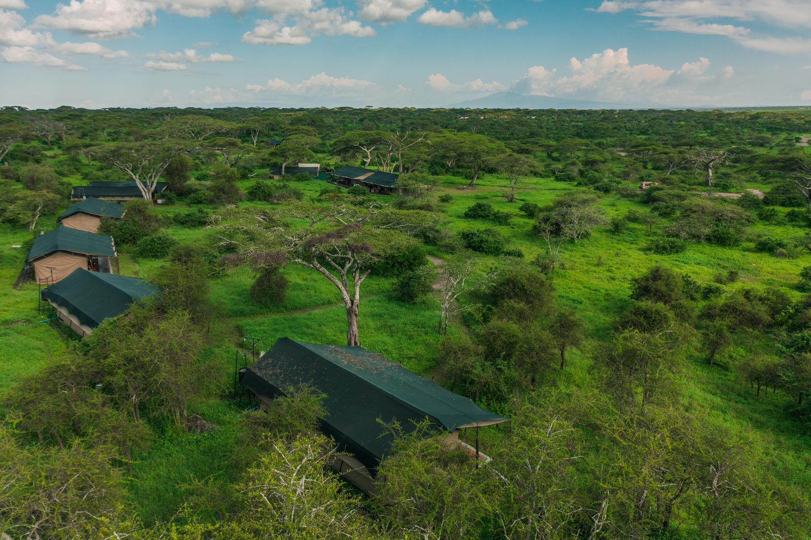 Lemala Mara and Ndutu Tented Camp Lemala Mara and Ndutu Tented Camp: Luftbild