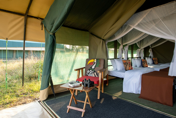 Little Moru Camp: Sessel unter dem Vordach