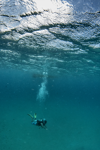 Nuarro Lodge: Taucher im Raum