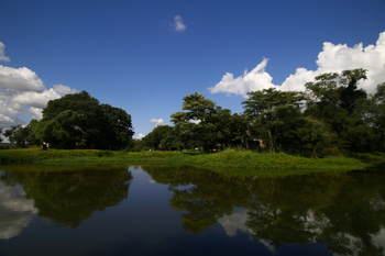 Waterberry Zambezi Lodge: Blick über den Teich zur Lodge