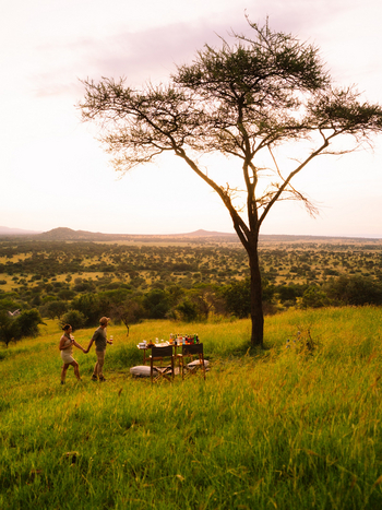Asanja Nyasirori: Sundowner