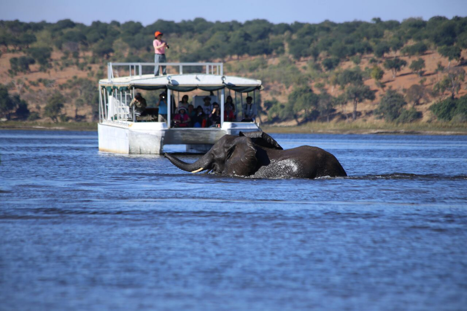 Chobe National Park Chobe National Park