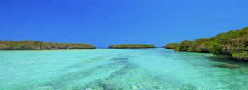 Cosmoledo Eco Camp: Mangrovenlandschaft