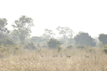 Kutandala Camp: Landschaft