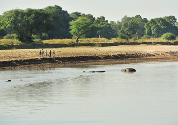 Lion Camp Lion Camp: Safari-Gruppe am Ufer