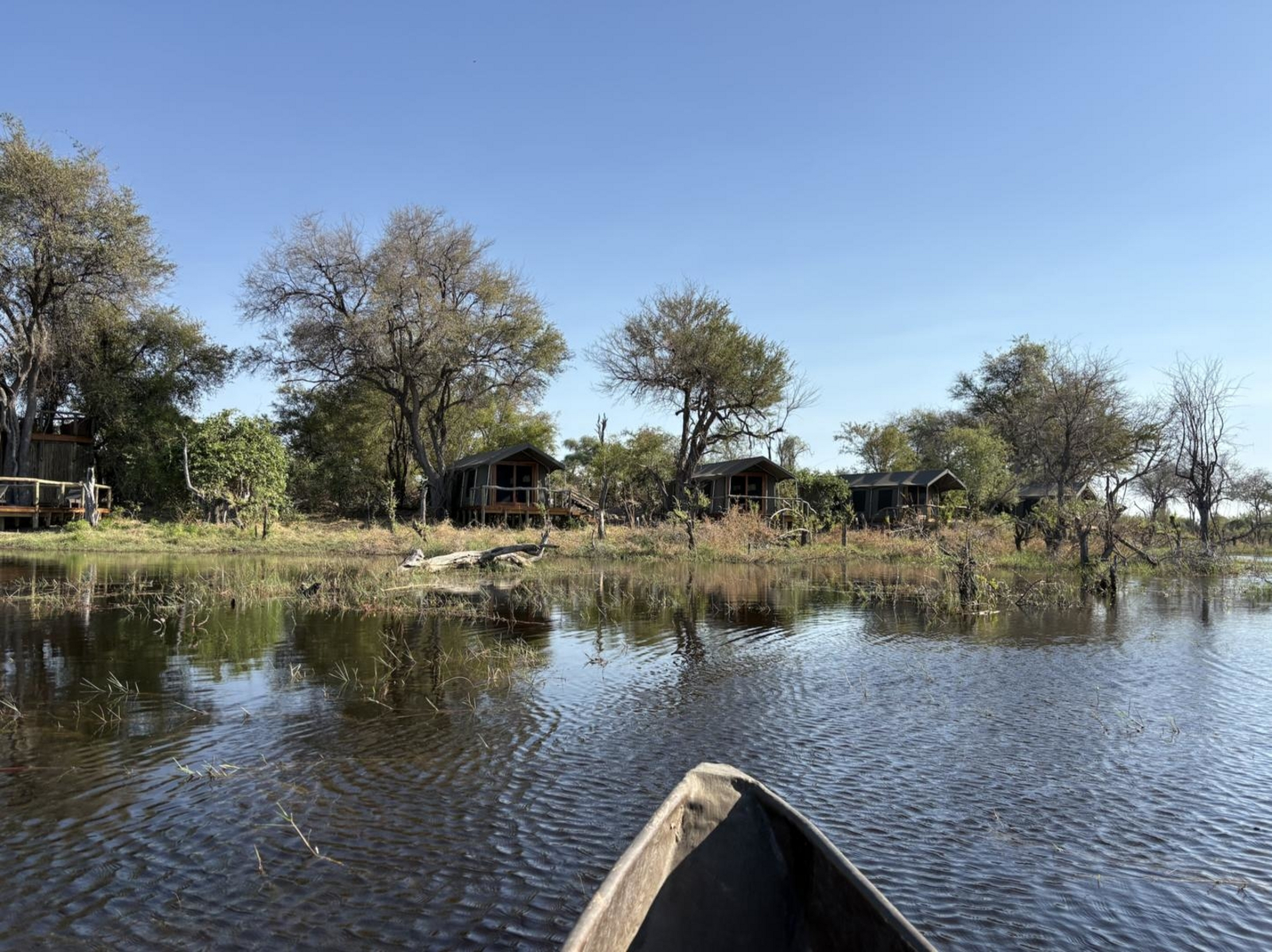 Losika Elephant Camp Losika Elephant Camp: Mokoro blickt auf erhöhte Chalets am Wasser