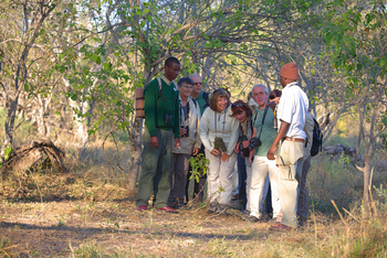 Moremi Crossing: Walking Safari