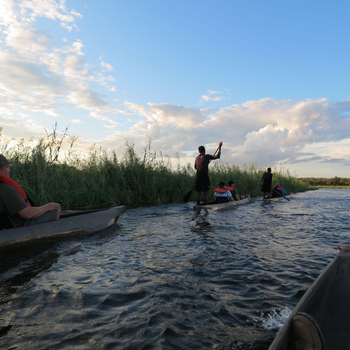 Ngepi Camp: Mokoro-Tour