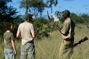 Tubu Tree Camp: Walking Safari