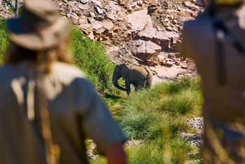 Huab Lodge: Elefantenbeobachtung