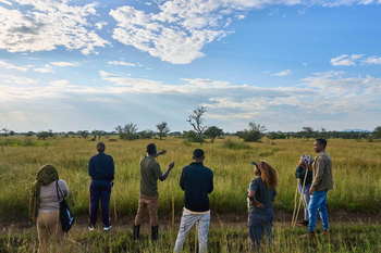 Ikoma Tented Camp: Gäste auf Safariwanderung im Morgengrauen