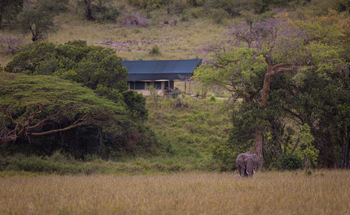 Kicheche Mara Camp: Gästezelt