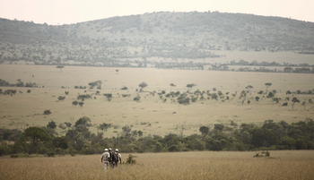 Klein's Camp: Nature Walk