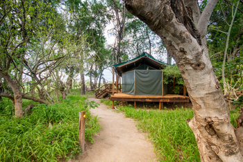Moremi Crossing: Zugang zu einem Zelt