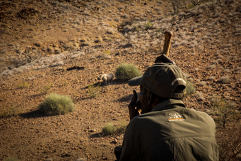 Onduli Enclave: Rhino Tracking