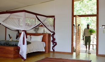 Potato Bush Camp: Safarizelt