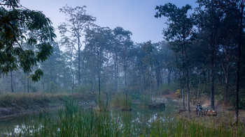 Reni Pani Jungle Lodge: Sit-out am Teich