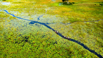 Xigera Safari Lodge Xigera Safari Lodge: Seerosenteiche