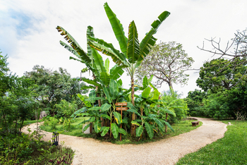 Zuri Zanzibar: Wege im Gewürzgarten