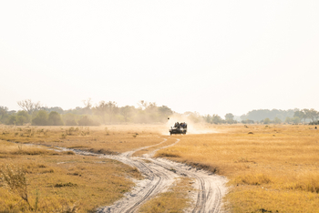 4 Rivers Camp 4 Rivers Camp: Game Drive