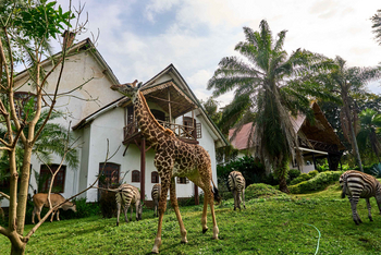 Arusha Safari Lodge: Giraffe vor Veranda am Morgen