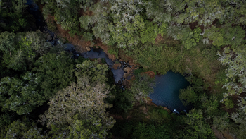 Borana Lodge Borana Lodge: Gewässer in belebter Vegetation