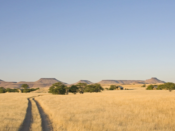 Desert Rhino Camp Desert Rhino Camp: Zufahrtspiste
