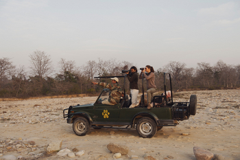 Jim's Jungle Retreat: Jungle Safari