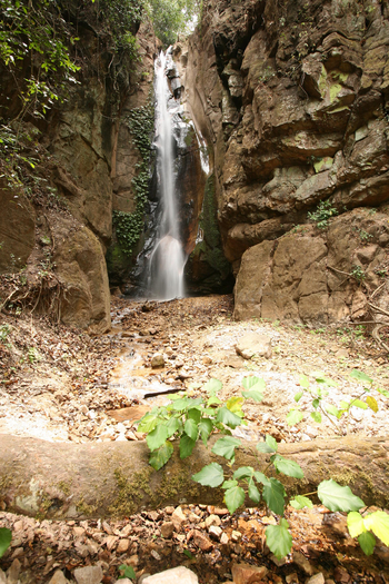 Mbali Mbali Gombe Lodge: Kleiner Wasserfall