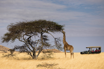 Ol Donyo Lodge: Game Drive