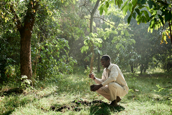 Sanctuary Olonana Sanctuary Olonana: Mitarbeiter im Garten
