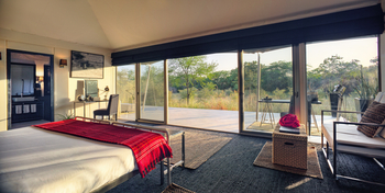 Sujan Jawai: Family Felidae Suite - Glasfront