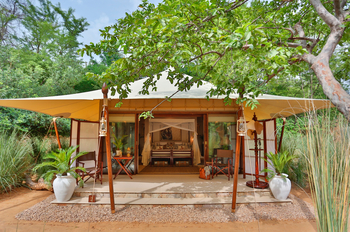 Sujan Sher Bagh: Tented Jungle Suite - Unter Bäumen