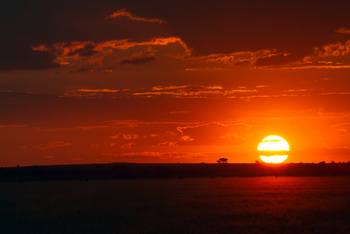 Tau Pan Camp Tau Pan Camp: Berührung mit dem Horizont