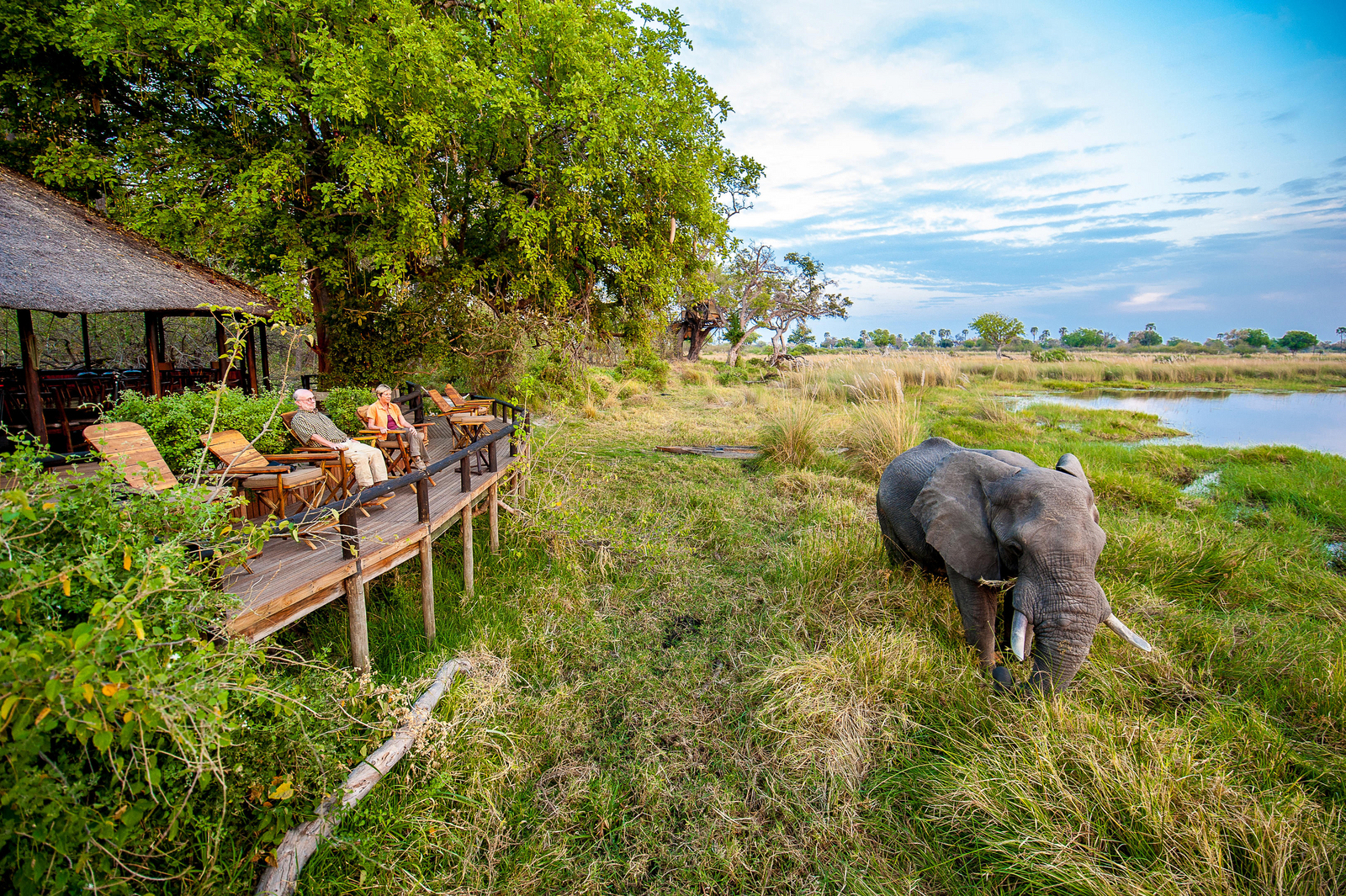Delta Camp Delta Camp: Elefant vor dem Camp