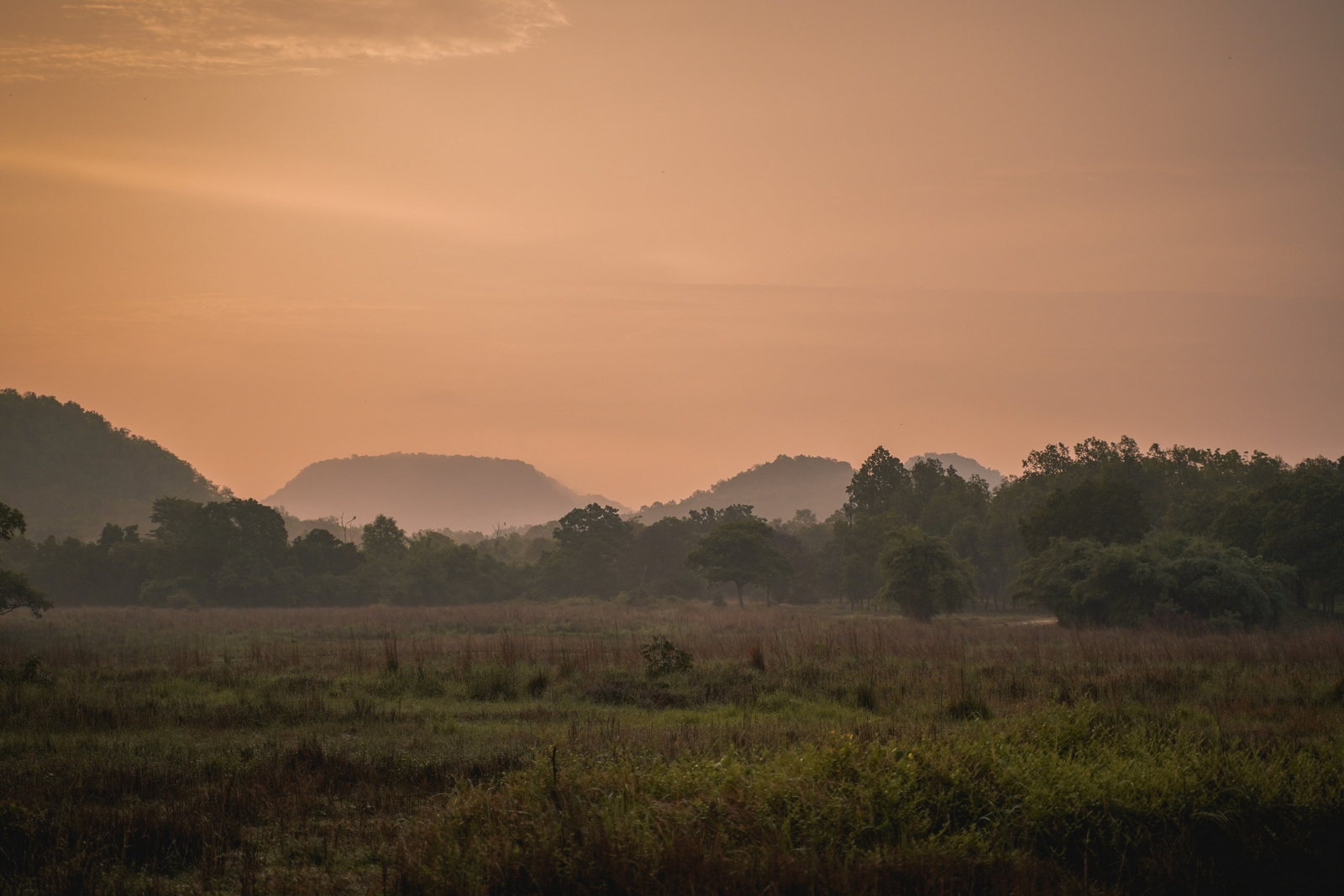 Bandhav Vilas Bandhav Vilas: Landschaft in der Tala-Zone