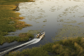Belmond Eagle Island Lodge: Motorbootssafari