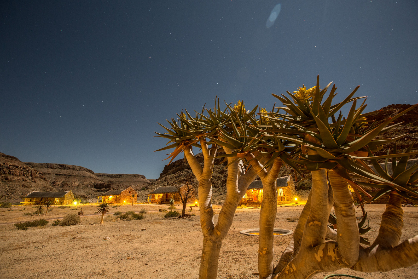 Canyon Village Canyon Village: Köcherbäume